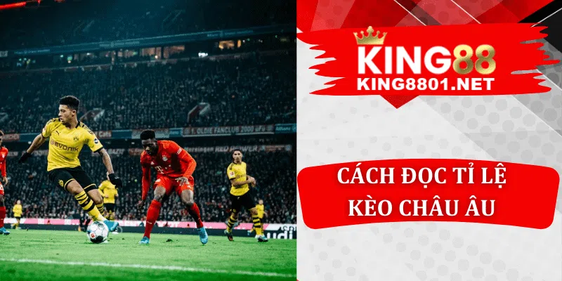 Cách đọc kèo Châu Âu chuẩn chuyên gia